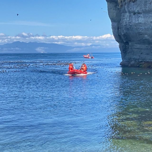 Cathy Pfister on a kayak in NW Washington state