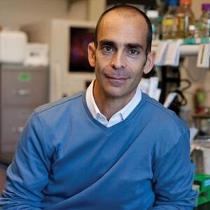 Joseph Thornton, PHD